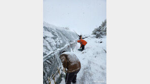 기상청, 올해부터 ‘눈 무게’ 고려한 강설 정보 제공한다