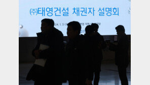 “남의 뼈 깎았나” 맹탕 자구안에 태영건설 운명은…워크아웃 아닌 법정관리?