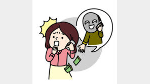 전화금융사기 송금전달책, 항소심에서 형량↑…징역 3년