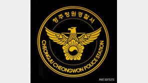 고속도로 한복판 차량 막고 난동, 잡아서 정신병원으로