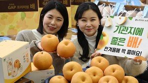 “배 한겨울에 딱 좋아요” 