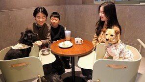  ‘펫 프렌들리 매장’ 연 스타벅스, 유기동물 입양 활성화 활동 강화