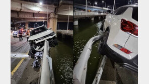 낙동강 다리 난간에 걸린 車…사고 낸 운전자, 모른척