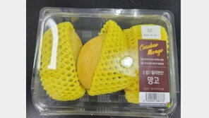 필리핀 망고 ‘이 제품’ 확인하세요…잔류농약 기준 초과