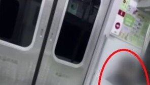 경춘선 음란행위 영상…“한적한 시간대 노려 계획 범죄”
