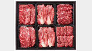 설 명절 선물세트 힘주는 현대백화점… ‘구이용 한우’가 핵심