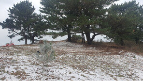 제주 오름 뒤덮었던 흰색 물질은 ‘영상 촬영용 인공 눈’