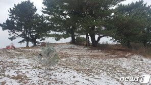 제주 오름에 정체 모를 ‘하얀물질’…영화촬영용 소품이었다