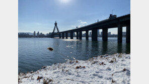 국과수 “올림픽대교 한강 시신, 자창에 의한 폐 과다출혈” 1차 소견