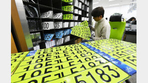 “8000만원 넘는 신규 법인차량, 연두색 번호판 답니다”