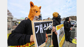 ‘개 도살’ 3년이하 징역…‘개식용금지법’ 9일 본회의 처리