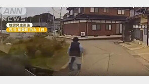 산책하던 할머니 차에 태우고 9초 후 덮친 쓰나미 (영상)