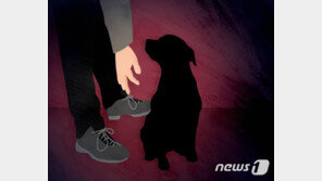 개 장례식장 오라더니 조의금함이…“얼마 내야 하나요 vs 꼭 내야 하나요”