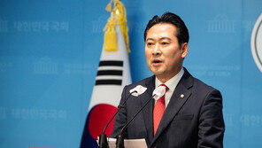 국힘, 김종혁 조직부총장·김수민 홍보본부장 내정