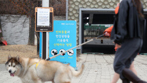 맹견사육허가제 도입…책임보험 가입·중성화 수술 요건 갖춰야