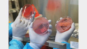 “설사하고 토하고 죽다 살아났네”…노로바이러스 환자 한달새 3배 ↑