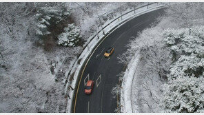 하얀 눈옷 입은 대구 팔공산국립공원