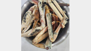 고교생에 ‘검은 대게’ 판 노량진 상인, 문 닫는다…“자리 회수”