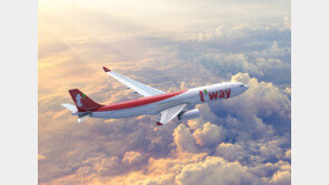 122명 태운 티웨이 여객기, 착륙 중 조류 충돌…엔진서 불꽃