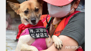 ‘시한부’ 선고받은 보신탕…“식용견 50만마리 대책 필요”