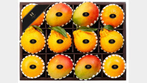 현대백화점, 명절선물 차별화 전략… ‘비파괴 당도측정’ 과일 판매