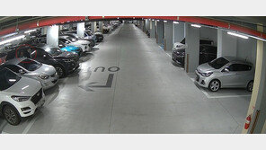 경찰 잠복한 줄 모르고… 차량 털려다 붙잡힌 20대