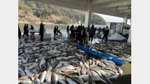 지난해 수산물 생산량 동해 줄고, 서해 늘어…지역별 격차 심화