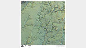 “밀림속에 최소 1만 명 살았다”…아마존서 2000년 전 고대 도시 발견