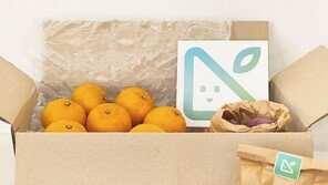 못난이마켓, 농가·소비자·환경 생각하는 ‘못난이 과일 꾸러미 프로젝트’ 진행