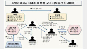 ‘무자본 갭투자’ 전세자금대출 사기 일당 12명 재판행