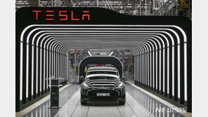 테슬라, 홍해 선박 공격으로 獨 공장 생산 일시 중단