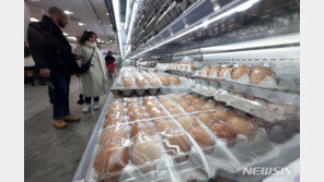 ‘金계란 될라’ 공급↑·납품단가↓…설 성수기까지 30% 할인지원