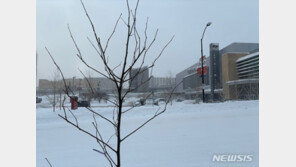 역대급 혹한 뒤집어쓴 아이오와…경선분위기 대신 눈발만