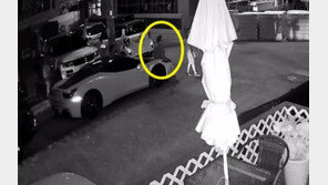 4억대 슈퍼카 보닛에 짐 놓고 걸터앉은 할머니…차주 “미칠 것 같다”