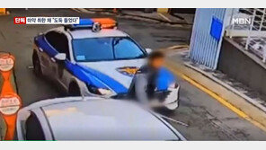 “도둑이 문 열려 한다” 신고…출동해보니 마약 취해 횡설수설