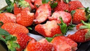 ‘한 입씩 먹은 듯한 딸기’ 환불 요구하는 손님에 ‘울분’