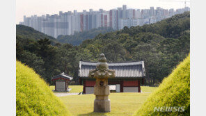 김포 ‘왕릉뷰 아파트’ 소송…건설사 측 두 번째 승소 확정