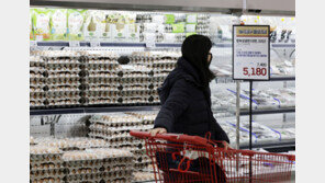 계란값 20% 정부가 지원 