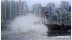 검찰, 작년 부산서 태풍 피해 영상 조작한 유튜버 불구속 기소