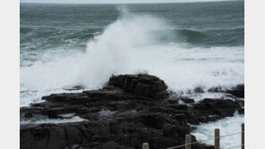 구독자 늘리려고…가짜 ‘태풍 피해’ 중계한 유튜버 기소