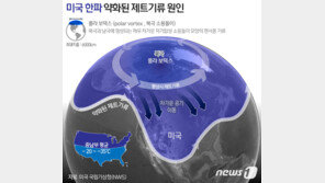 지구 매년 더워지는 거 맞아?…체감 영하 57도 ‘북극 한파’ 왜 오나