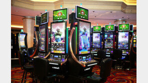 ‘카지노 입장세’ 8천만원 손댄 강원랜드 직원 경찰 고발