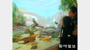 벽 만지면 가상의 숲이 펼쳐져요