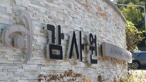 감사원 “이재명 경기지사 시절 지역화폐 대행사, 충전금 횡령해 최소 26억 원 특혜”
