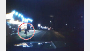 경찰 피해 질주한 사기 피의자…휴가 중인 새내기 순경이 잡았다