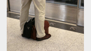 “출근길 사당역서 죽을 뻔”…스크린도어에 갇혔는데 열차 출발