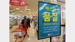 ‘마스크 대란 막는다’…정부, 재난 물품·인력 등 통합 관리