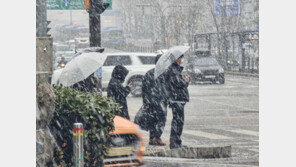 비 온다더니 ‘펑펑’…수도권 점심시간 함박눈 최대 1.9㎝