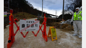 경북 영덕 양돈농가서 첫 ASF 확진…돼지 480마리 살처분