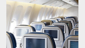 日 비행기서 승무원 물어뜯고 난동…여객기 회항시킨 미국인 남성 